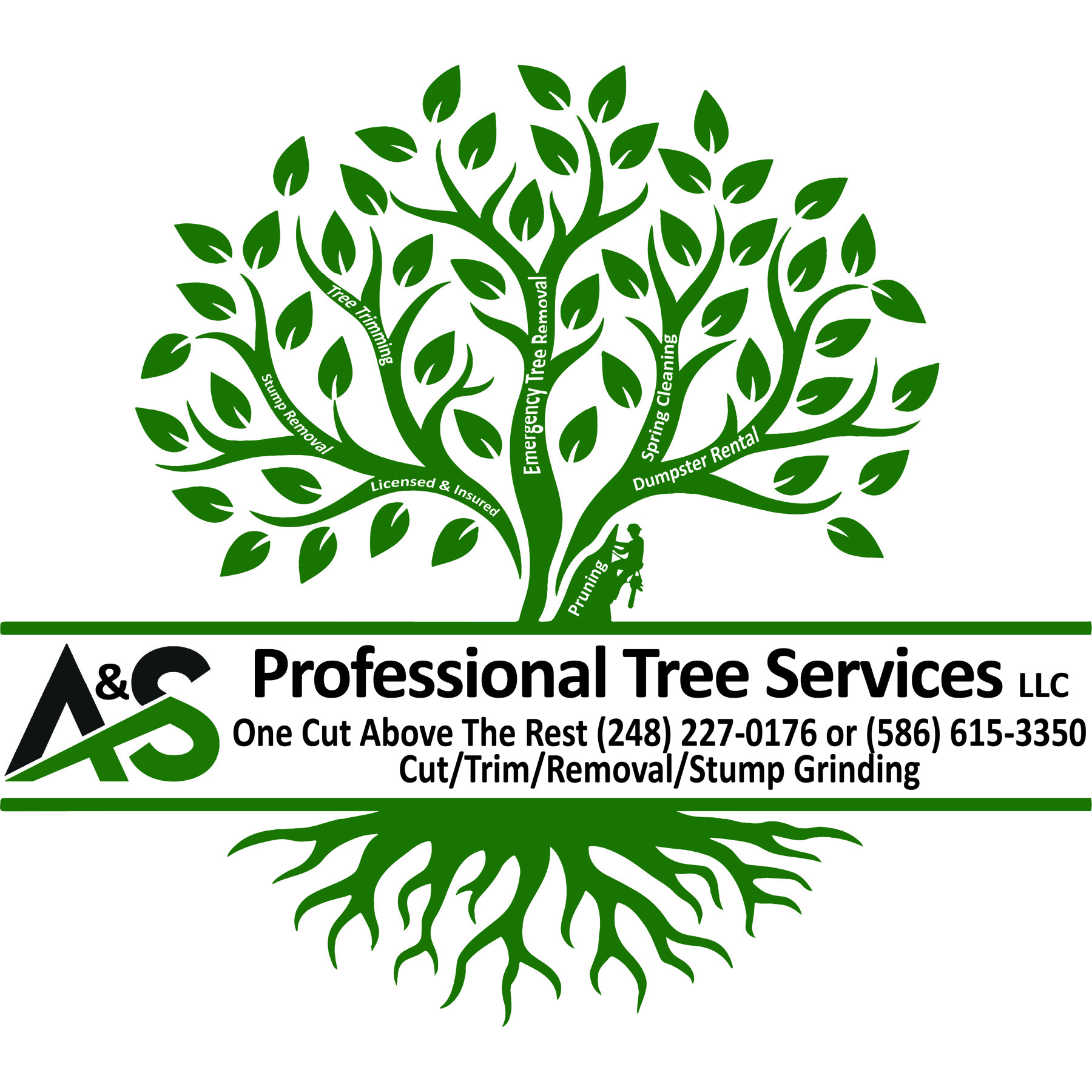 New Detroit Management | Roofing, Concrete, Tree & Property Services